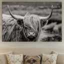 Texas Longhorn Cow Canvas Wall Art - Bull Print Home Decor - Barnhouse Wall Art - Farmhouse and Wild West Small to Extra Large Prints (Highland Cow in Black and White, 35L" x 53W")