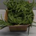 2-Pack 6FT Artificial Norfolk Pine Christmas Garland - Real Touch PE Faux Greenery, Waterproof Indoor Outdoor Decor for Mantel, Staircase, Fireplace, Front Door, Holiday Xmas Decoration