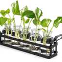 Mkono Propagation Stations with Metal Stand, Desktop Plant Terrarium Glass Planter Vase for Hydroponic Plants Flower Cutting Home Office Garden Decor Plant Lover Gifts, 5 Jars (Large)