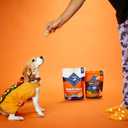 2 x Blue Buffalo Health Bars Crunchy Dog Biscuits, Oven-Baked with Natural Ingredients, Pumpkin & Cinnamon, 16-oz Bag (EXP 02/17/27)