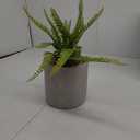 Briful Small Fake Plant Potted Plants Artificial Decor Plastic Ferns Plant Faux Plants in Pots for Home Living Room Bedroom Desk Bathroom Shelf Farmhouse Decoration