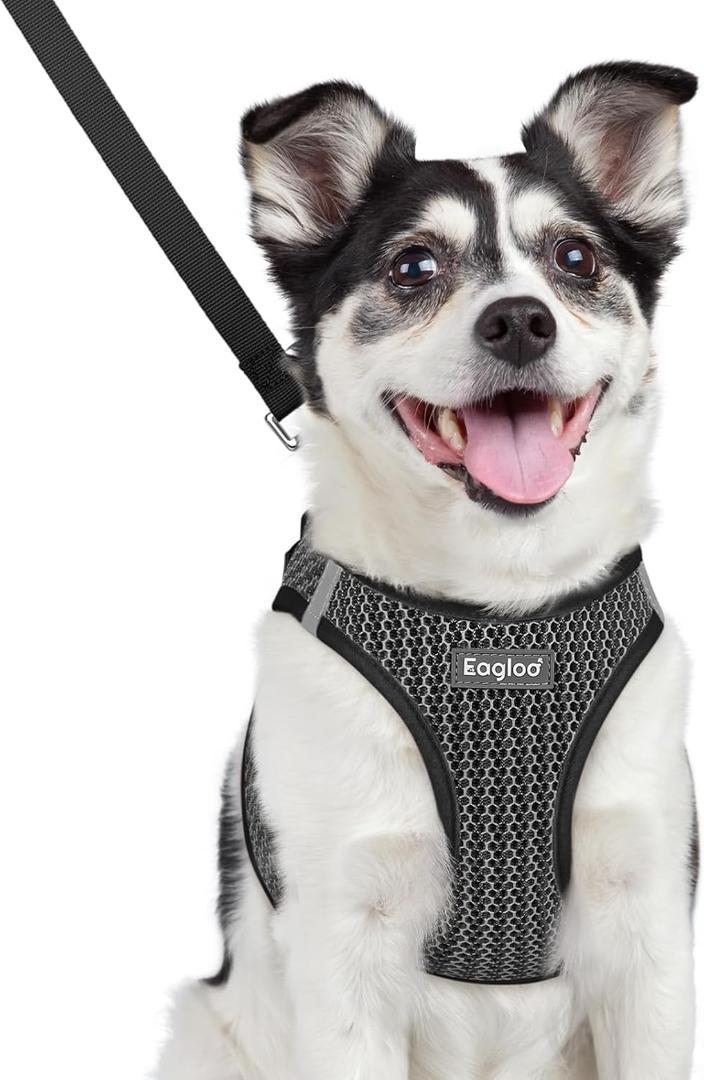 Eagloo Small Dog Harness and Leash Set, Step in Puppy Vest with Breathable Soft Mesh, Walking Reflective Pet Harness for Medium Small Dogs, Gray, L (L(Chest:18.2"-20.5"))
