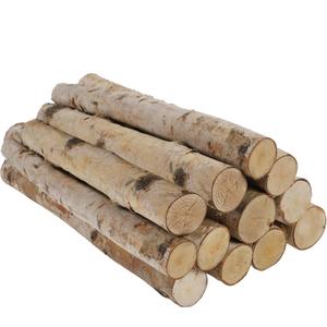 12 Pcs 16" Large White Birch Logs for Faux Fireplace Filler, Decorative Firewood for DIY Crafts, Wood Branches for Outdoor Indoor Electric Mock Fireplace, Firebowl, Fire Pits