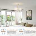20" Caged Fandelier Ceiling Fans with Lights, Boho Ceiling Fan with Light Remote Control, Chandelier Coastal with 6 Speeds for Bedroom, Nursery, Living Room (Gold)