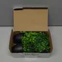 Der Rose Fake Plants 4 Packs Artificial Plants Small Faux Plants Black Bathroom Accessories for Halloween Bathroom Home Kitchen Coffee Table Office Desk Decor Indoor