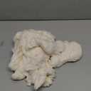 Wesnoy 100g/0.22lb Cotton Stuffing for Stuffed Animals Soft Pillow, Natural Cotton Fiber Filling Batting, for Toys, Cloud Decorations, and More