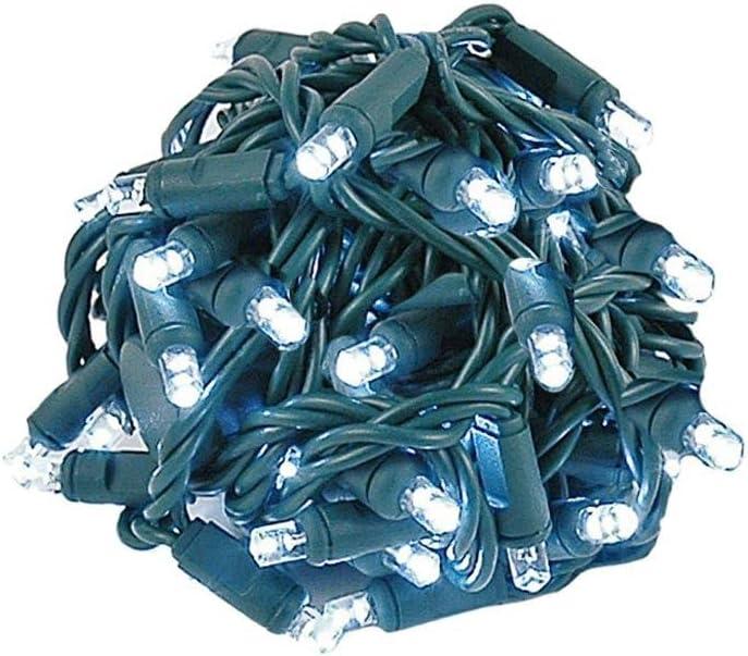 Novelty Lights 50 Light LED Twinkle Christmas LED Mini Light Set, Outdoor Fairy Wedding String Lights, Pure White, Green Wire, 25 Feet