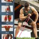 Resistance Bands for Working Out,5-Level Elastic Pull Up Assistance Bands Set for Men & Women,Exercise Bands for Home Workouts,Fitness,Training & Physical Therapy