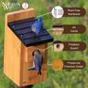 Natures Way Cedar Bluebird & Cavity Nesting House, Predator Guard, Ventilated Design & Easy Access Clean-Out Panel, Natural Wood