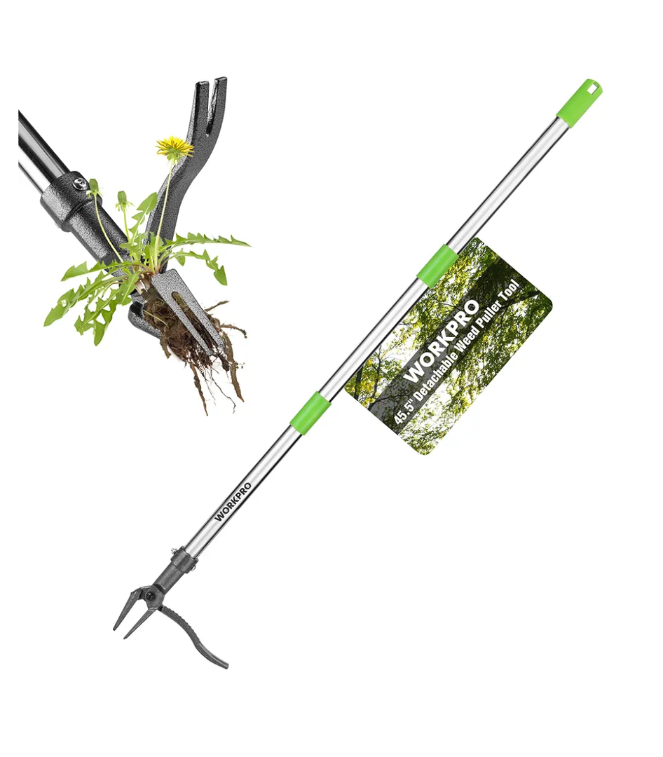 Weed Puller Tool with Long Adjustable Handle (33", 46"), Stand Up Heavy Duty Weed Remover- 4 Claw Steel Head & Foot Pedal for Easy Weeding, Detachable Dandelion Picker for Lawn/Yard/Garden