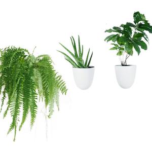 PlantPod Luxe Self-Watering Wall Planters (Set of 3) - Easy to Water and Install - Lightweight - Design Your Own Vertical Garden - Wall Planters for Indoor Plants