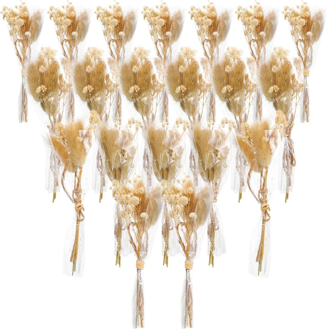 Boho Dried Flower Bouquet, Mini Flower Bouquet, Mini Dried Baby's Breath Flowers for Crafts DIY Wedding Shooting Prop Envelope Decoration(20 Pcs)