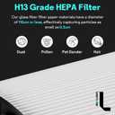 Leemone 360° Combi 2 in 1 HEPA+Carbon Replacement Filter Compatible with Dyson HP1 TP06 HP06 PH02 PH01 PH03 PH04 HP09 TP09 HP07 TP07 TP10 HP10, H13 Grade True HEPA Replacement Filter