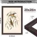 20x28 Picture Frame Walnut Brown with Black Back Board, Curved Extra Wide Edges, Wooden Vintage Style Poster Frame 20x28 for Wall Decor.