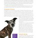 Ultimate Guide to Dog Training: Puppy Training to Advanced Techniques plus 25 Problem Behaviors Solved! (CompanionHouse Books) Manners, Housetraining, Tricks, and More, with Positive Reinforcement