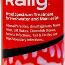 Rally Pro 8 oz. Round ( Pack of 2 )