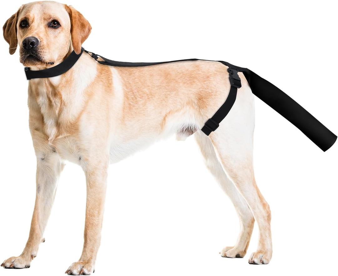 OHCOZZY Breathable Dog Tail Protector for Dogs(L,Black)