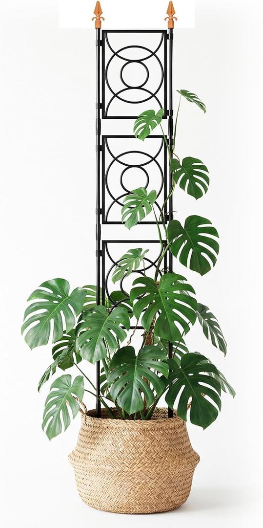 Trellis for Climbing Plants Indoor Outdoor, 24 Rifny Tall Garden Trellis Flower Rose Cucumber Trellis for Vines Pea Support, Wall Large Plant Trellis Fence with Plastic Plastic Screen Frame, 6.2 FT