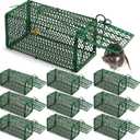 Qualirey 10 Pcs Humane Rat Trap Chipmunk Squirrel Cage Trap 4.33 x 4.33 x 9.06 Inches Foldable Rodent for Small Live Animal Voles Hamsters Catch and Release for Kitchen Yard Garage (Green)