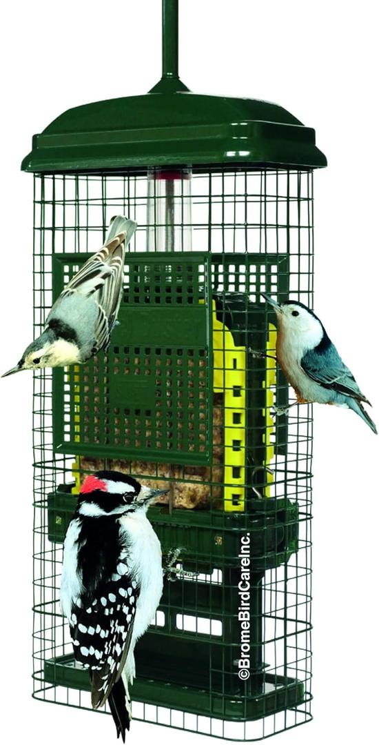 Squirrel Buster Suet Squirrel-Proof Suet Bird Feeder with Two Suet Cake Trays, Two Crumb Ports, Mess-Free Suet Loading, Durable Green Design for Clinging Birds