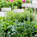 Duraaamo 30 Pcs Metal Large Plant Label Stakes 21" H Garden Labels Marker Sign Reusable Metal Name Stakes Plant Tags for Outdoor Garden Waterproof Seedlings Herbs Vegetable Greenhouse Sliver, 21 inches tall, 3.5 x 1.25 inches