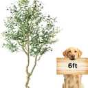 Artificial Olive Tree 6FT Tall Olive Tree Indoor Floor Plant with 1877 Leaves Lush Large Artificial Plant Faux Olive Plant for Corner Bedroom Livingroom Patio Office