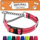CollarDirect Martingale Dog Collar Heavy Duty Nylon Slip Collars for Small Medium Large Dogs [Stainless Steel Chain and Quick Release Buckle, Reflective, Pink, M, 14"-17"]