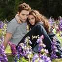 The Twilight Saga: Breaking Dawn - Part 2