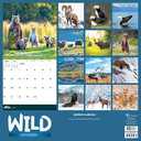 Wild Calendar 2026 2 set