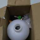 Tool Daily Foam Cannon with 1/4 Inch Quick Connector, 1 Liter, 5 Pressure Washer Nozzle Tips