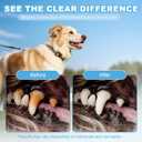 Dog Dental Powder for Teeth Cleaning & Fresh Breath - Reduce Pet Plaque & Tartar Remover Made Easy Supply for All Breeds Chicken Flavor