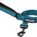Voyager Reflective Dog Leash with Neoprene Handle, 5ft Long, Supports Small, Medium, and Large Breed Puppies, Cute and Heavy Duty for Walking, Running, and Training - Turquoise (Leash), S