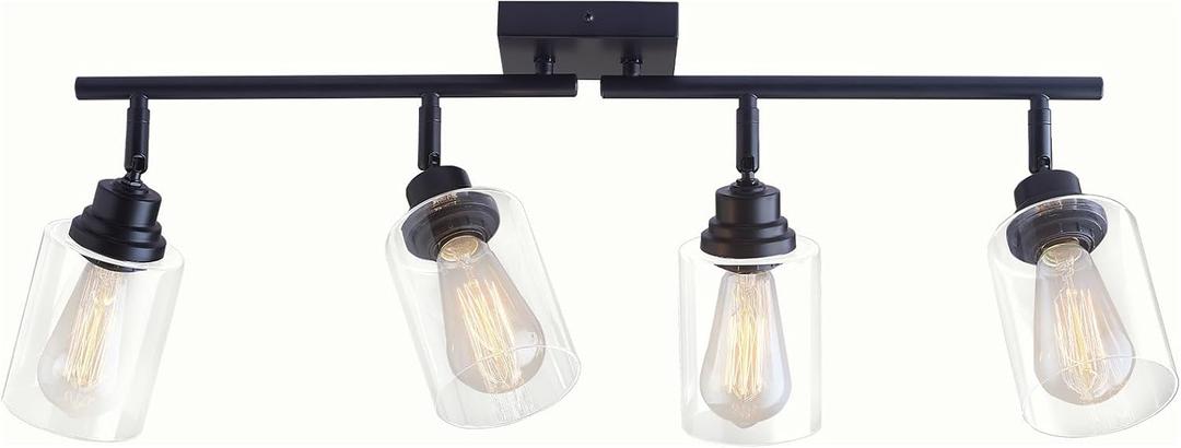 Modern 4-Light Track Lighting Fixtures Ceiling with Clear Glass Shades, E26 Base Kitchen Ceiling Light Fixture for Living Room, Bedroom & Bathroom