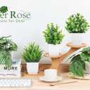 6 x Der Rose 6 Pack Fake Plants Small Artificial Potted Plants Faux Plants for Home Office Desk Bathroom Aesthetic Farmhouse Room Decor Indoor