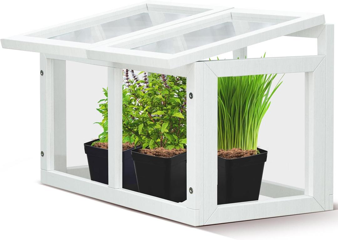 Mini Tabletop Greenhouse 12"x8"  Compact Indoor Plant House with Clear Acrylic Panels & Wood Frame with 4" Pots for Herbs, Seedlings, Cuttings & Propagation - Cat Safe