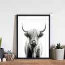 Highland Cow Art Prints Posters, Black and White Animal Photography Wall Art, Wildlife Nature Photo, Exotic Animal Wall for Bathroom Bedroom Decor 71 (Highland Cow, 20"L x 16"W, Unframed)