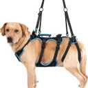 Dog Lift Harness for Large Male Dogs, 2-in-1, Back Leg Support & Mobility Assistance for Senior Dogs, Post-Surgery Recovery Sling (Black, Large)