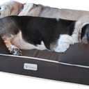 PetFusion Ultimate Dog Bed, Orthopedic Memory Foam, Multiple Sizes and Colors, Medium Firmness Pillow, Waterproof Liner, YKK Zippers, Breathable 35% Cotton Cover (Large (36x28"), Brown)