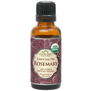 US Organic 100% Pure Rosemary Essential Oil, USDA Certified Organic 100% Pure, Steam Distilled, for Hair Growth, Scalp, Face, Skin, and Aromatherapy (30 ml) (1 Fl Oz (Pack of 1))