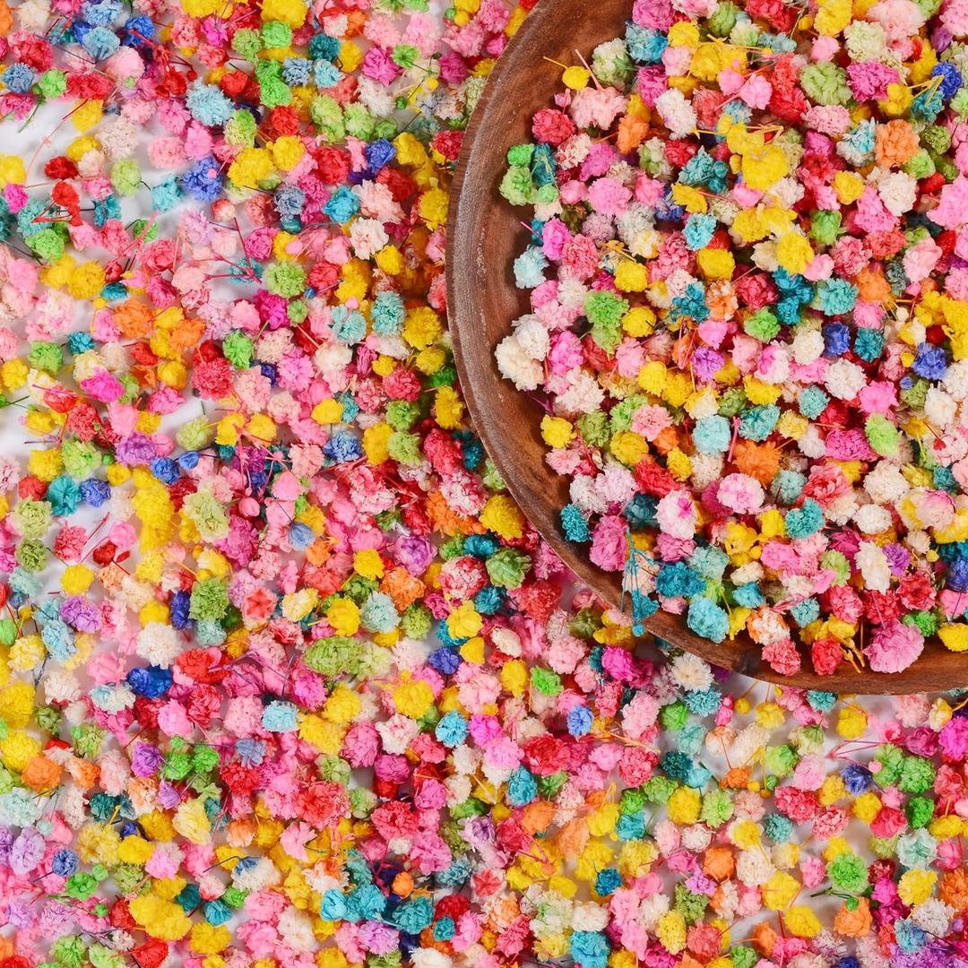 1500pcs Bulk Small Dried Flowers For Resin Crafts Colorful Mini Dried Flowers Miniature Real Dried Gypsophila Art Flowers For Diy Candle Making Soap Making Nail Art Jewelry Earrings Epoxy Resin