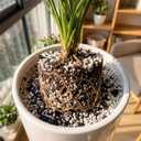Organic Perlite Horticultural Soil Amendment for Plants and Enhanced Drainage Enhanced (Perlite, 12QT)