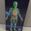 CHMYWJ Glow-in-the-Dark Human Body Anatomy Model Science Skeleton Kits Model for Kids Contains 40 Skeleton Toy with Removable Bones and Organs STEM Educational Toys for Kids, Festival and Birthday Gifts