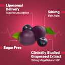 Force Factor Total Beets Gummies, Blood Pressure Support, Liposomal Beet Powder for Superior Absorption, Grape Seed for Nitric Oxide, Circulation & Heart Health, Sugar Free, Mixed Berry, 60 Gummies (EXP 07/28/27)
