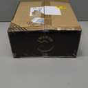 C SEVEN C7skates Quad Roller Skates | Retro Design (Women's 11 / Men's 10)