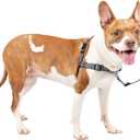 PetSafe Easy Walk Deluxe Dog Harness, No Pull Dog Harness  Perfect for Leash & Harness Training  Stops Pets from Pulling and Choking on Walks  Medium, Steel (Medium (Pack of 1))