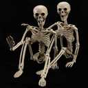 HBSTK 2 Pack 40 Inches Halloween Skeleton Full Body Posable Movable Jonints for Halloween Decoration Dcor