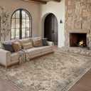 PureCozy Brown Vintage 6x9 Area Rug for Living Room Machine Washable Large Rug Non-Slip Soft Low Pile Carpet Floral Stain Resistant Indoor Office Throw Rug for Bedroom Dining Room Nursery