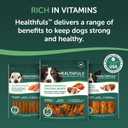 Healthfuls Chicken Wrapped Sweet Potato Dog Treats, 16oz (EXP 10/08/27)