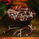 Fun Express Deer Antlers Resin Table Decorations 12 Pack - Realistic Faux Antler Decor for Forest Woodland Christmas Party | Rustic Wedding Centerpieces & Hunting Lodge Themed Events