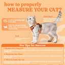 Rabbitgoo Cat Harness and Leash for Walking, Escape Proof Soft Adjustable Vest Harnesses for Cats, Easy Control Breathable Reflective Strips Jacket, Blue, M